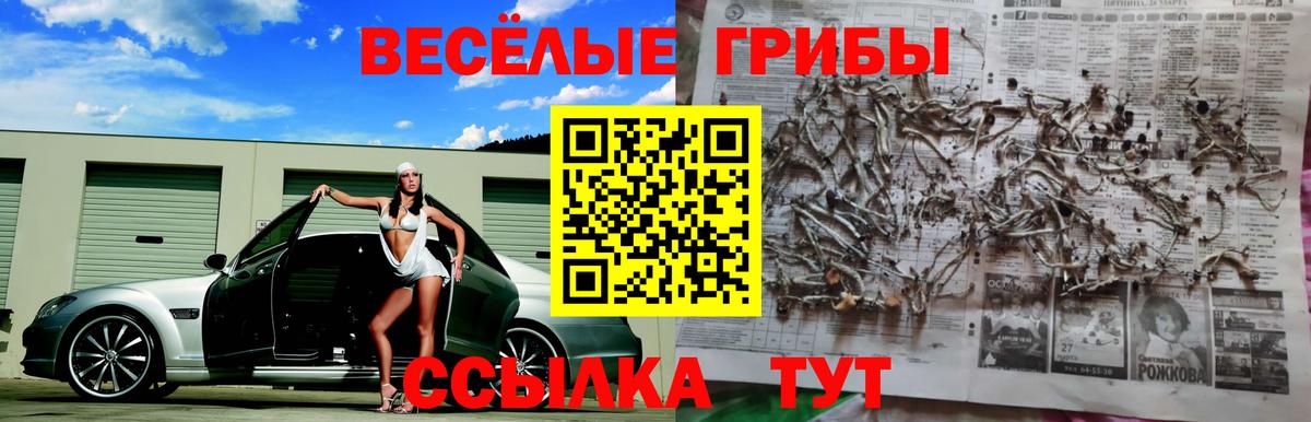 Алапаевск  даркнет сайт  Псилоцибиновые грибы Magic Shrooms  Вход с VPN  Галлюциногенные грибы мухоморы 