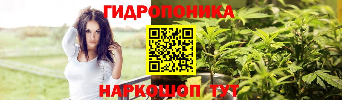 Конопля White Widow  Бошки марихуана конопля  Шишки марихуана AK-47  Вход с VPN  Конопля сатива  Алапаевск 